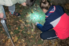 IMG-3989