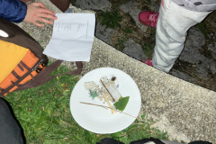 IMG-3991