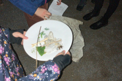 IMG-3993