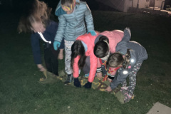 IMG-3996