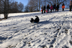 IMG-7524