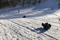 IMG-7525